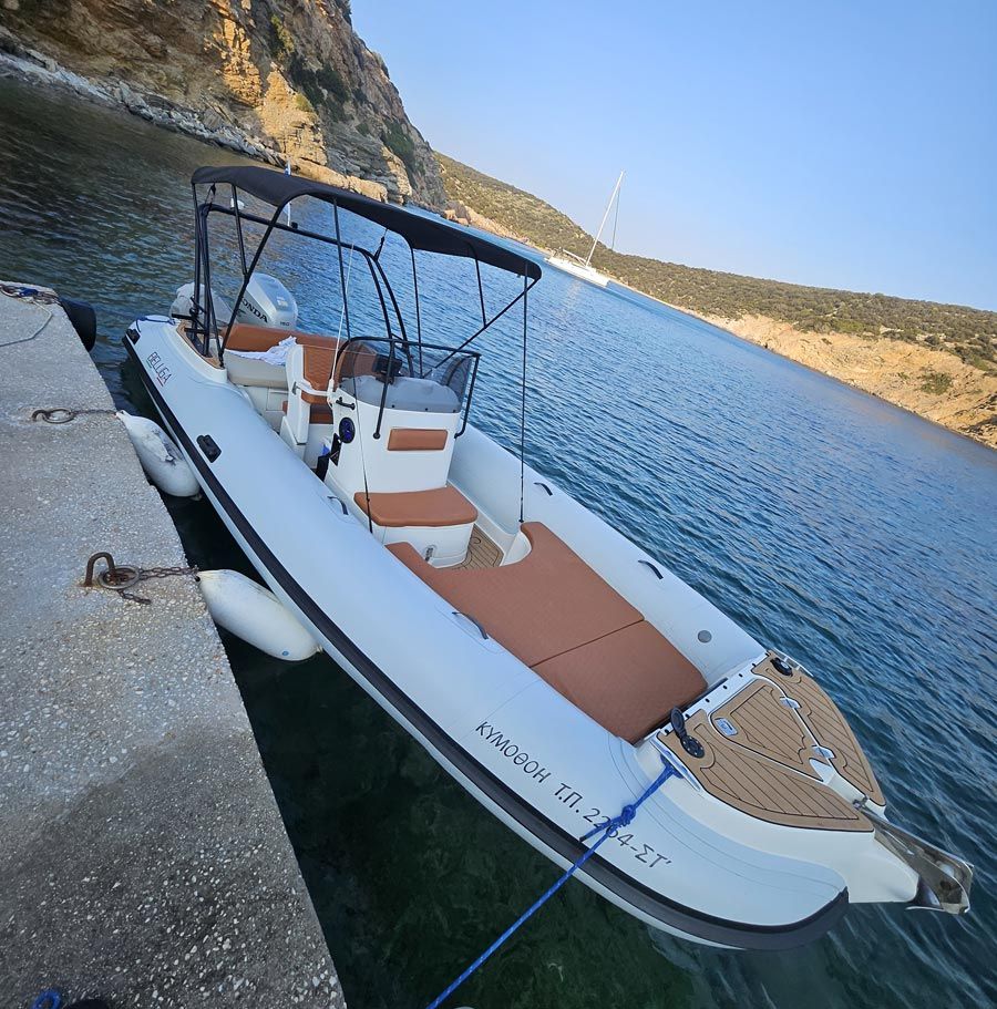 Beluga boat photo 7